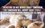 Hakuna Matata copy