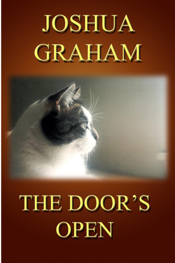 THE DOOR'S OPEN cOVER