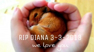 RIP Diana